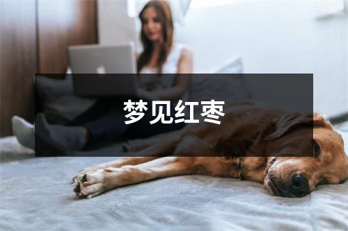 <h3>梦见红枣