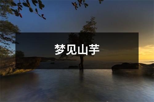 <h3>梦见山芋