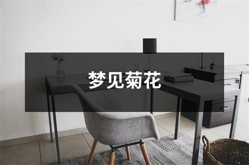 <h3>梦见菊花