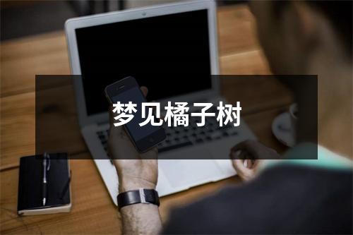 <h3>梦见橘子树