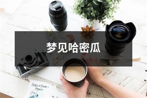 <h3>梦见哈密瓜