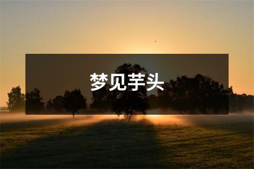<h3>梦见芋头