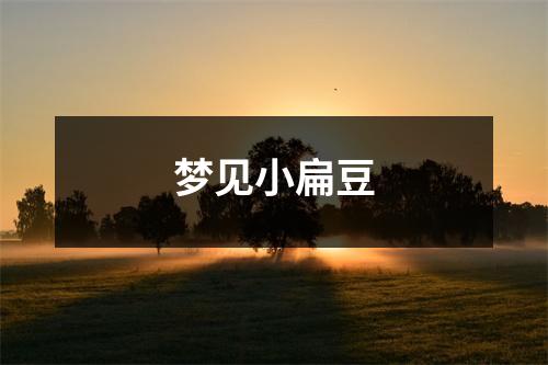 <h3>梦见小扁豆