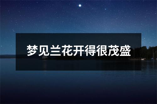 梦见兰花开得很茂盛