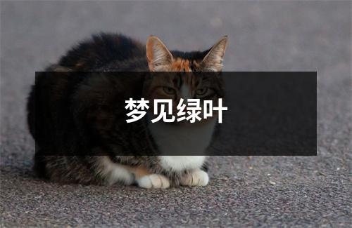 <h3>梦见绿叶