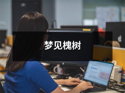 <h3>梦见槐树