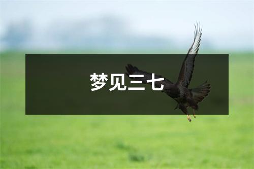 <h3>梦见三七
