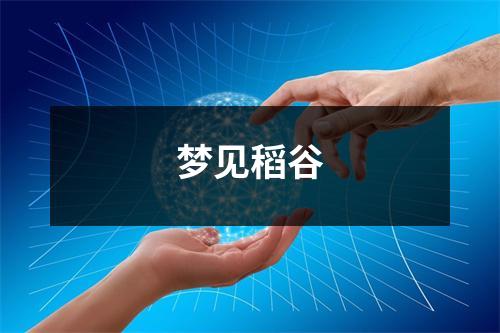 <h3>梦见稻谷