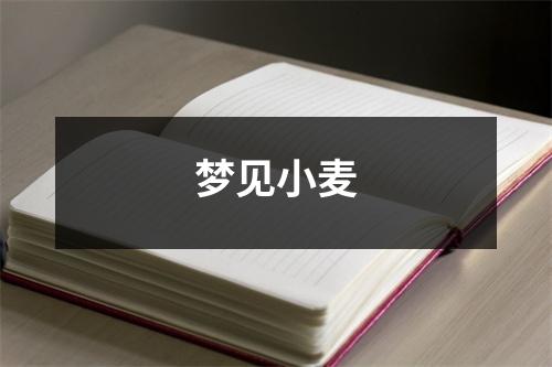 梦见小麦