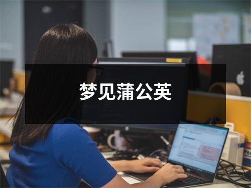<h3>梦见蒲公英
