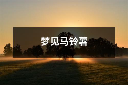 <h3>梦见马铃薯