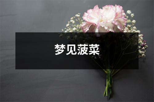 <h3>梦见菠菜