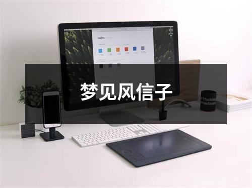 梦见风信子