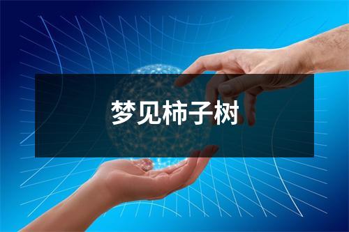 梦见柿子树