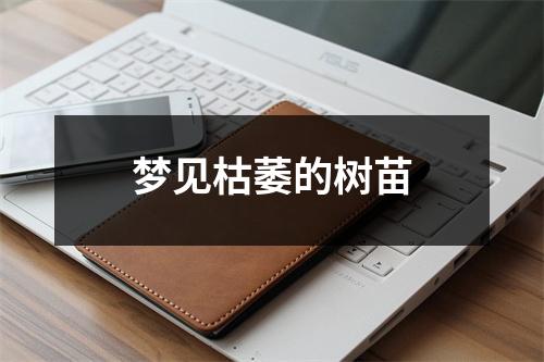 梦见枯萎的树苗