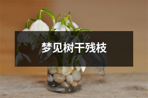 <h3>梦见树干残枝