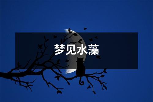 <h3>梦见水藻
