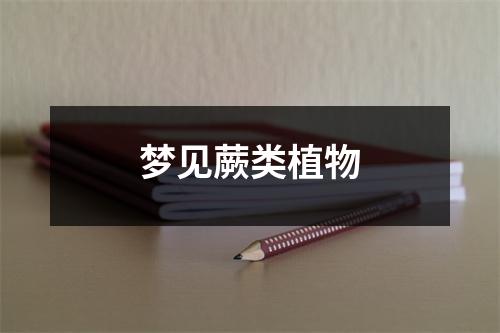 <h3>梦见蕨类植物
