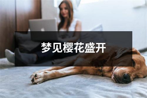 <h3>梦见樱花盛开