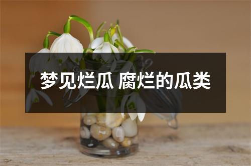 <h3>梦见烂瓜腐烂的瓜类