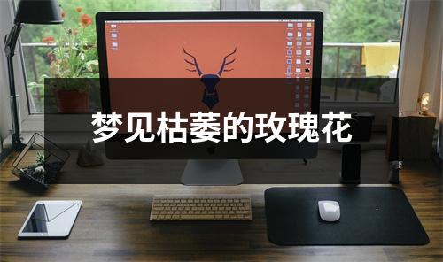 <h3>梦见枯萎的玫瑰花