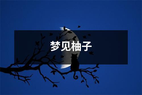 梦见柚子