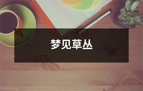<h3>梦见草丛