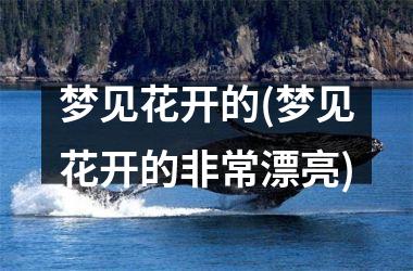 梦见花开的(梦见花开的非常漂亮)