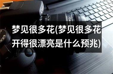 <h3>梦见很多花(梦见很多花开得很漂亮是什么预兆)