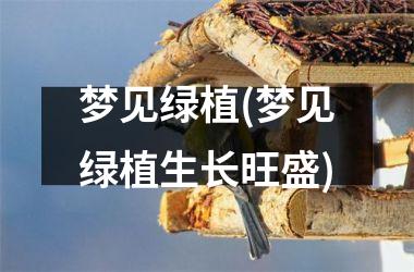 梦见绿植(梦见绿植生长旺盛)