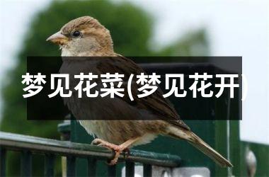 <h3>梦见花菜(梦见花开)