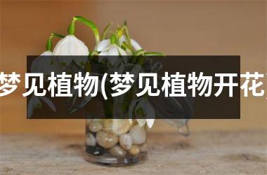 <h3>梦见植物(梦见植物开花)