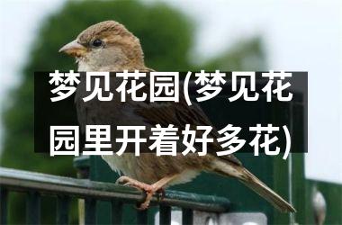 <h3>梦见花园(梦见花园里开着好多花)