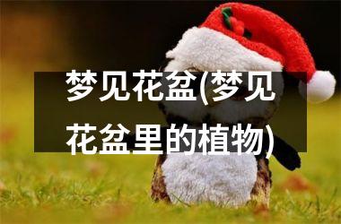 <h3>梦见花盆(梦见花盆里的植物)