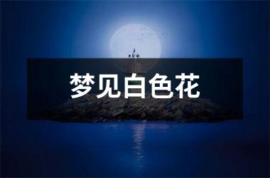 <h3>梦见白色花