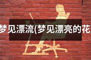 <h3>梦见漂流(梦见漂亮的花)