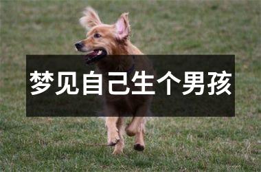 梦见自己生个男孩