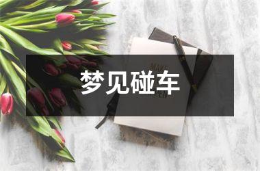 <h3>梦见碰车