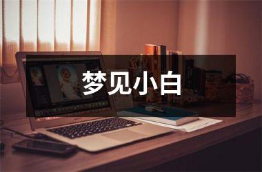 <h3>梦见小白