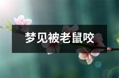 <h3>梦见被老鼠咬