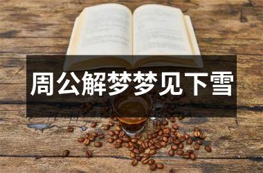 <h3>周公解梦梦见下雪