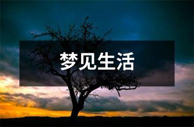 <h3>梦见生活