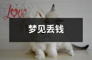 <h3>梦见丢钱
