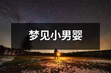 <h3>梦见小男婴