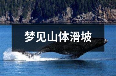 <h3>梦见山体滑坡