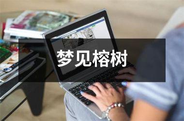 <h3>梦见榕树