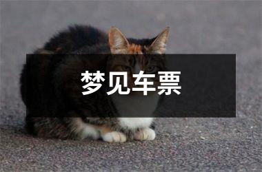 <h3>梦见车票
