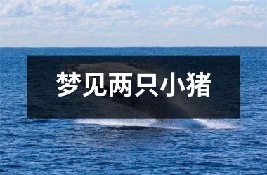 <h3>梦见两只小猪