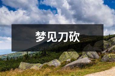 <h3>梦见刀砍