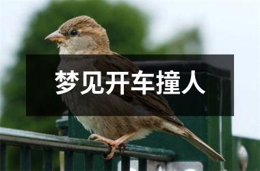 <h3>梦见开车撞人